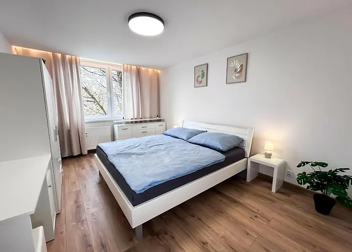 Oasis * Košice